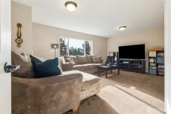 The large bonus room offers endless possibilities, from media room to game space or home gym. A flexible area designed to fit your lifestyle.