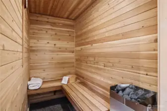 Luxurious sauna