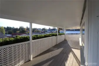 Back deck