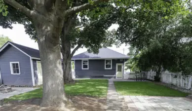 Shaded Backyard