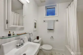 Lower level full bathroom