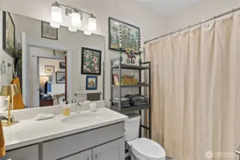 Main house full hall bath