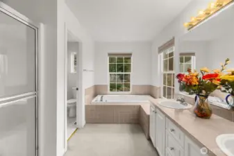 5 piece primary BA with double vanity, bathtub and walk in shower and separate toilet area