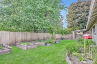This fully fenced back yard is a gardeners delight.