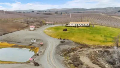 KRD irrigation for the lot