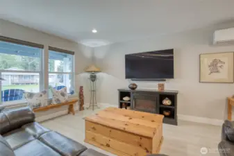 Dedicated plugin for electric fireplace or streaming on your TV/ computer systems