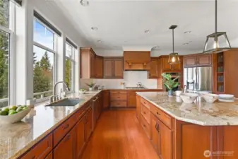 Walk In Pantry & Designer Lighting