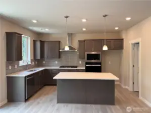 Chefs dream Gourmet kitchen with quartz counter tops, stainless steel appliances, soft close cabinets and pendant lights. Walkk in panty offers ample storage. Photos are for representational purposes only. Colors and finishes may differ.