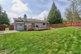 Large back yard - fully fenced. Nice back deck for entertaining.