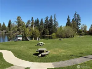 Park and lake