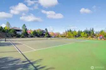 Sports Courts