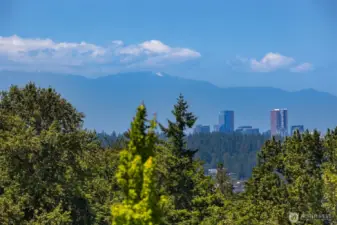 Downtown Bellevue views and amazing sunsets!