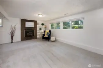 Lower level recreation room and adjacent bedroom/home office.