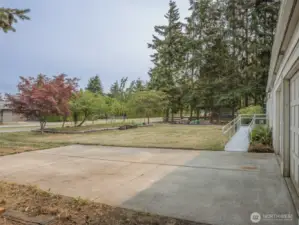Fruit tree orchard in front yard.