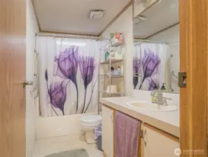 The guest bathroom offers a functional layout with a convenient tub-shower combination