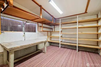 Storage behind and attached to garage
