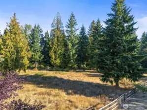 So many possibilities with this usable 5 acres!