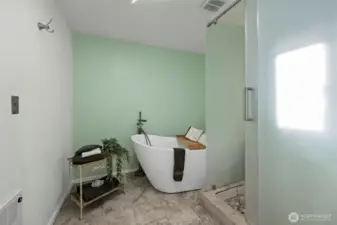 Soaking bathtub and shower in primary bathroom.
