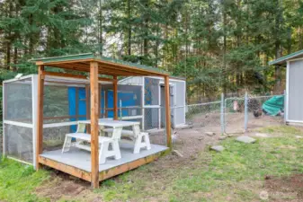 Backyard covered area and chicken coop.