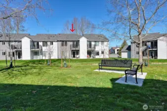 Green space behind building