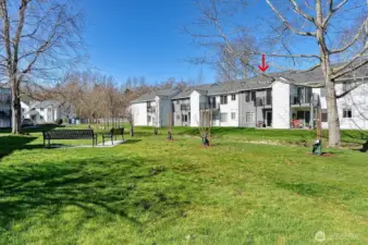 Green space behind building