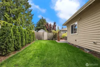 Recently redesigned backyard!