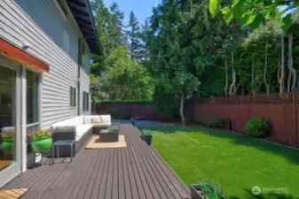 Enormous Deck to relax, live and play on plus antimicrobial Pet Friendly Turf just installed!