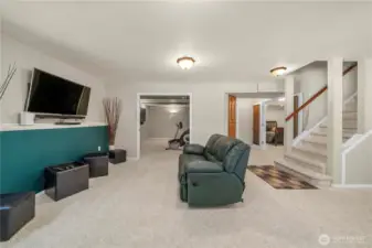 Lower level rec room