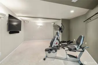 Lower level bonus area