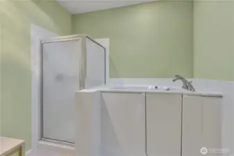 Primary Bath-Newer Soaking Tub