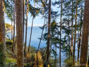 Filtered water views through the trees offer a sense of privacy, or clear them selectively to reveal sweeping views of Saratoga Passage and passing marine life.