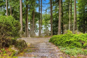 Mature trees and natural landscaping create privacy and seclusion on this oversized .506-acre lot in sought-after Lake Forest Estates.