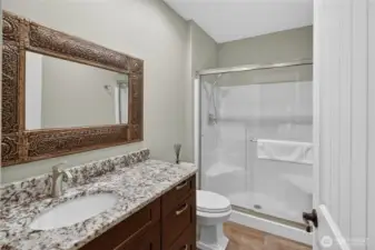 Ensuite guest bathroom.