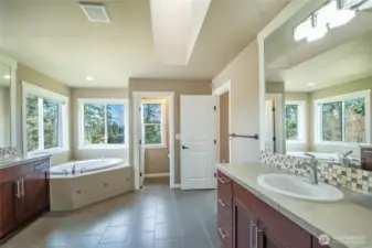 Tree view from the bath