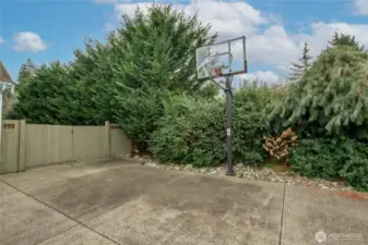 Basketball hoop in driveway