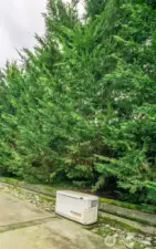 Home wired with generator