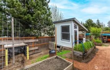 Garden with raised beds