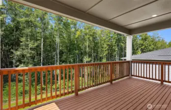Large Coverd Deck