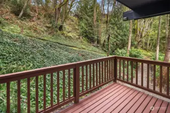 Deck off second living area