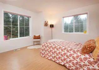 One of 4 bedrooms with tons of natural light