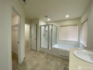 Luxurious bath and walk in closet attached