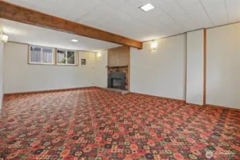 Rec room in lower level