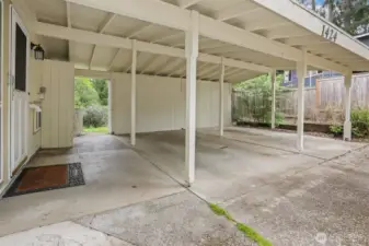 Tons of storage in carport!