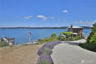 Private driveway down to beach house.