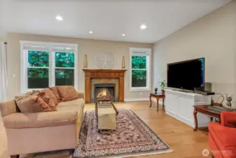 Gas fireplace.