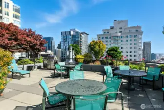 You can see plenty of comfortable seating & BBQs to enjoy the views from the rooftop garden.