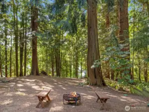 Gather with friends around the firepit as twilight settles in, roast marshmallows, or tell stories under the stars.