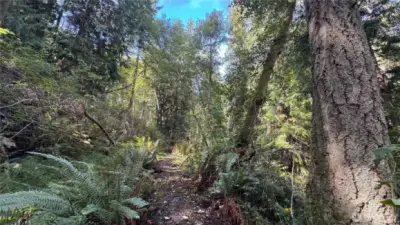 Lovely walking path to the upper level of the property