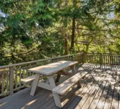 Big private deck off the kitchen/dining area has the feel of a tree house.