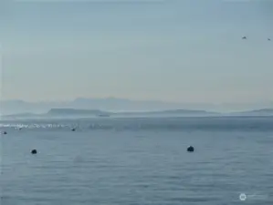 On a hazy day, you can still see Lopez Island, the Washington State ferries heading down the Straits, and the Olympic Mountain range in the background.